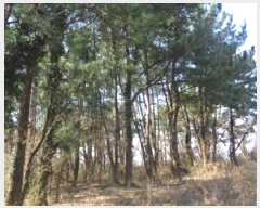  2025Ÿ1046  ֽ ֿ ϸ 1-10      (Ӿ)