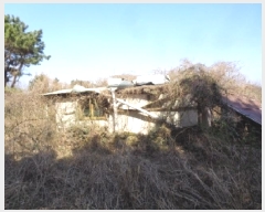  2025Ÿ1046  ֽ ֿ ϸ 1-10      (Ӿ)