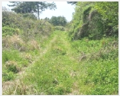  2025Ÿ��1082 ���� �������� ������ ���︮ 1251      ����(��1)���