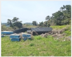  2025Ÿ��1082 ���� �������� ������ ���︮ 1251      ����(��1)���