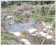  2025Ÿ��1082 ���� �������� ������ ���︮ 1251      ����(��1)���