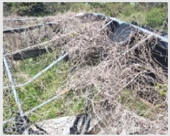  2025Ÿ��1082 ���� �������� ������ ���︮ 1251      ����(��1)���