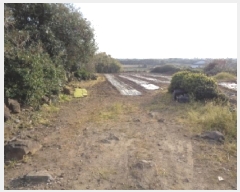  2025Ÿ1099  ֽ ̵ 3559-3       (Ӿ)