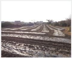  2025Ÿ1099  ֽ ̵ 3559-3       (Ӿ)