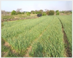  2025Ÿ1099  ֽ ̵ 3559-3       (Ӿ)