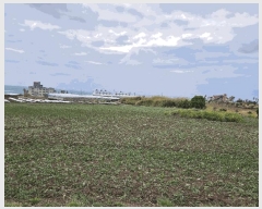  2025Ÿ��1114 ���� ���ֽ� �ֿ��� ������ 421      ����(��1)���