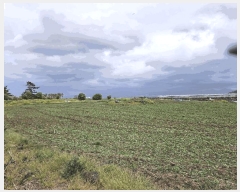  2025Ÿ��1114 ���� ���ֽ� �ֿ��� ������ 421      ����(��1)���