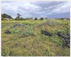  2025Ÿ��1114 ���� ���ֽ� �ֿ��� ������ 421      ����(��1)���