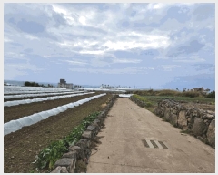  2025Ÿ��1114 ���� ���ֽ� �ֿ��� ������ 421      ����(��1)���