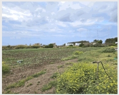  2025Ÿ��1114 ���� ���ֽ� �ֿ��� ������ 421      ����(��1)���