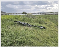  2025Ÿ��1114 ���� ���ֽ� �ֿ��� ������ 421      ����(��1)���