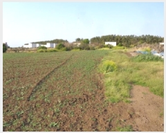  2025Ÿ��1114 ���� ���ֽ� �ֿ��� ������ 421      ����(��1)���