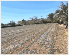  2025Ÿ1123  ֽ Ѹ 縮 1069      (1)