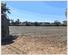  2025Ÿ1123  ֽ Ѹ 縮 1069      (1)