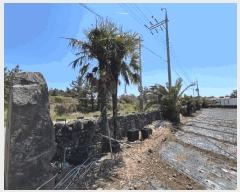  2025Ÿ1123  ֽ Ѹ 縮 1069      (1)