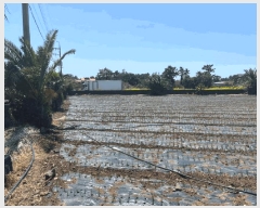  2025Ÿ1123  ֽ Ѹ 縮 1069      (1)