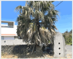  2025Ÿ1123  ֽ Ѹ 縮 1069      (1)