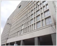  2025Ÿ1131  ֽ  274-37 ǽƼ1 6623ȣ     ܵ(ȣ)