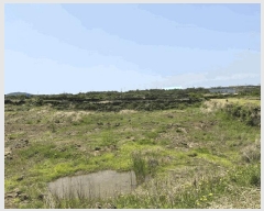  2025Ÿ��1140 ���� ���ֽ� �쵵�� ���� 613-2 ����� ���̵�    ���ð��