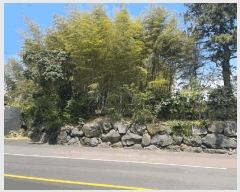  2025Ÿ��1148  ���������