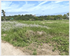  2025Ÿ��1148  ���������