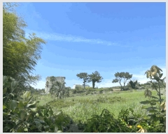  2025Ÿ��1148  ���������