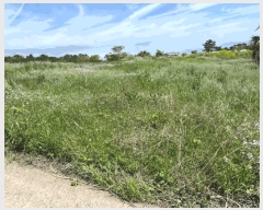  2025Ÿ��1148  ���������