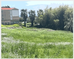  2025Ÿ��1148  ���������