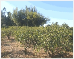  2025Ÿ��1181  ���������