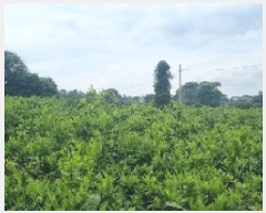  2025Ÿ��1181 ���� �������� ������ ������ 1511      ����(����)���