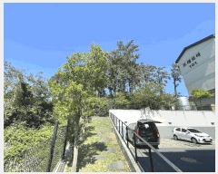  2025Ÿ��1188  �Ӿ߰��