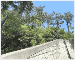  2025Ÿ��1188  �Ӿ߰��