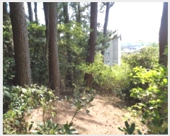  2025Ÿ��1188  �Ӿ߰��