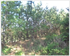  2025Ÿ��1188  �Ӿ߰��