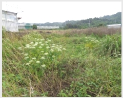  2025Ÿ��1196 ���� �������� �ȴ��� ȭ���� 708-1      ����(��)���