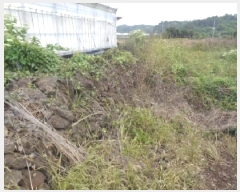  2025Ÿ��1196 ���� �������� �ȴ��� ȭ���� 708-1      ����(��)���