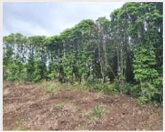  2025Ÿ��1215 ���� �������� ������ ��ǳ�� 531      ����(��1)���