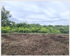  2025Ÿ��1215 ���� �������� ������ ��ǳ�� 531      ����(��1)���