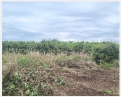  2025Ÿ��1215 ���� �������� ������ ��ǳ�� 531      ����(��1)���