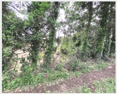  2025Ÿ��1235  �����