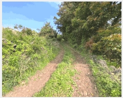  2025Ÿ��1235  �����