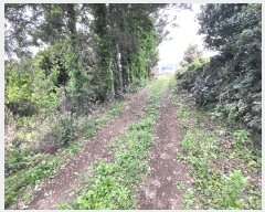  2025Ÿ��1235  �����