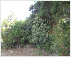  2025Ÿ��1235  �����