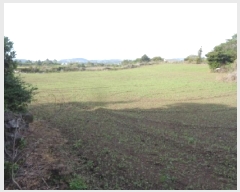  2025Ÿ��1235  �����