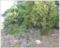  2025Ÿ��1235  �����