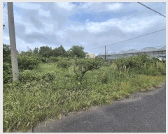  2025Ÿ��1280  ���������