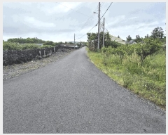  2025Ÿ��1280  ���������