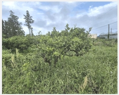  2025Ÿ��1280  ���������