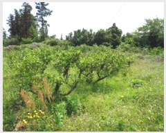  2025Ÿ��1280  ���������