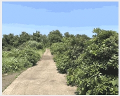  2025Ÿ��1387  �Ӿ߰��